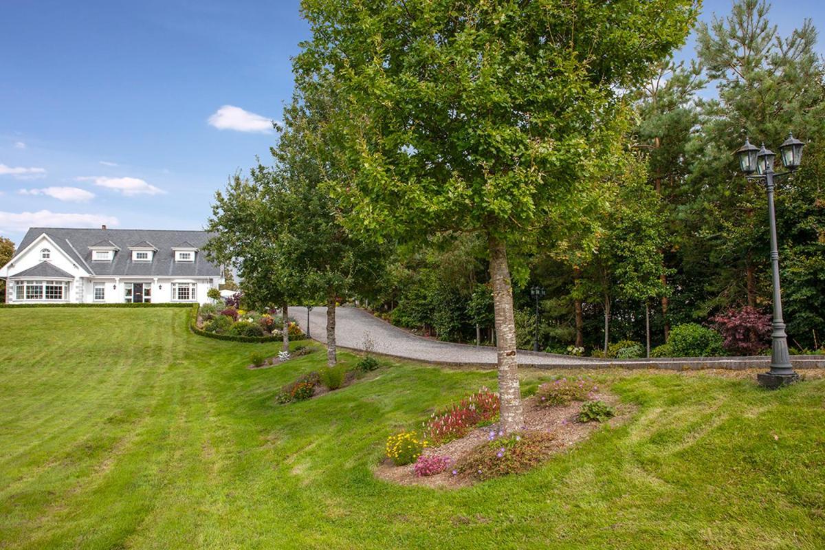 The Ridgewood Lodge Newbridge  Exterior foto
